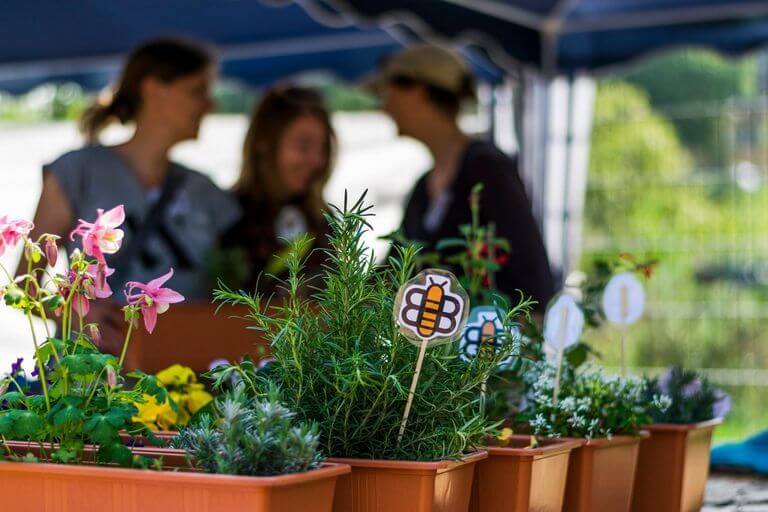 Frühjahrspflanzaktion Bienenkübel. Projekte zur Begrünung Speyers und zur Förderung der Biodiversität gehören zu den Initiativen von inSPEYERed e.V. Foto: © inSPEYERed