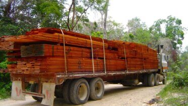 Transport von FSC-zertifiziertem Holz im Partnerland. Foto: © FSC International