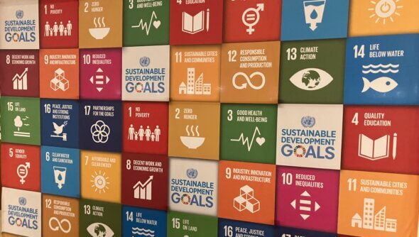 Auf dem Foto sieht man eine Wand voll mit Würfeln, auf denen die Ziele für nachhaltige Entwicklung stehen (SDG´s = Sustainable Development Goals).