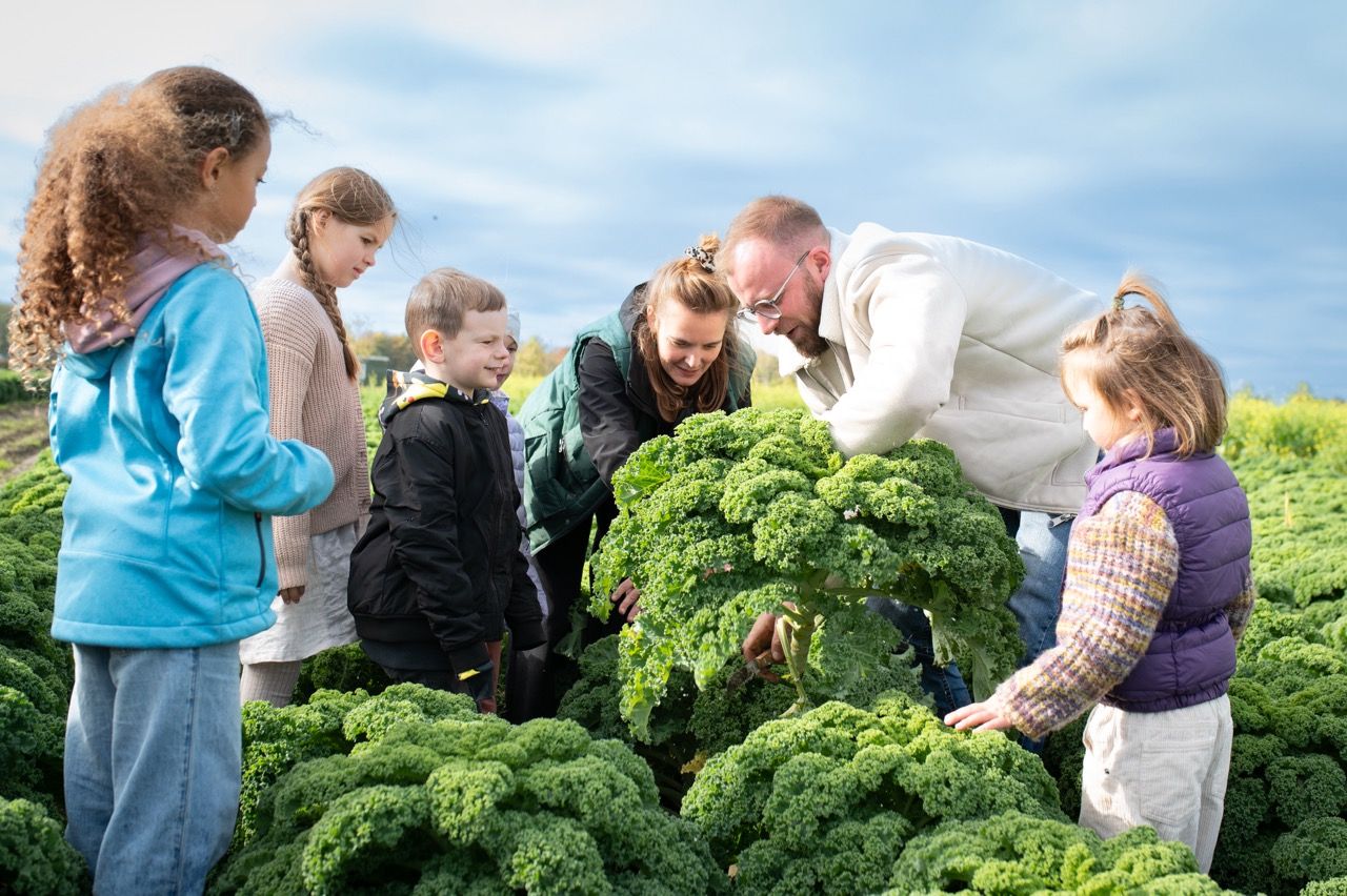 Kinder stehen auf einem grünen Feld und ernten mit einem Erwachsenen einen riesigen Grünkohl.