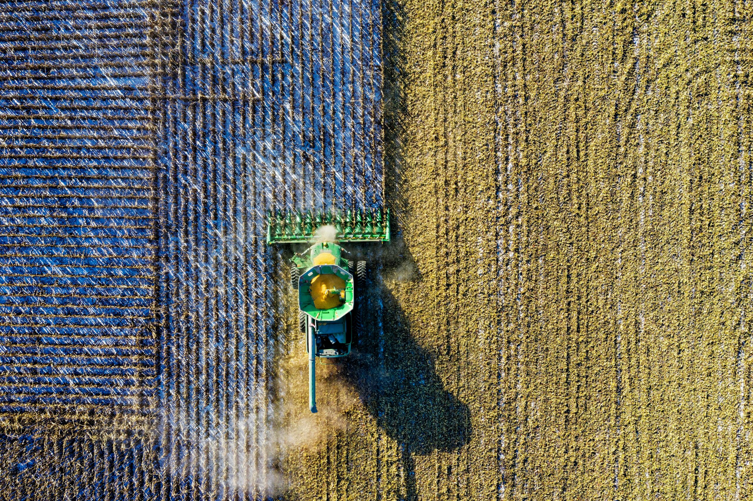 Aufnahme eines Mähdreschers, der ein Feld bestellt, aus der Vogelperspektive.